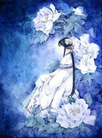 九陰九陽之陰陽神功
